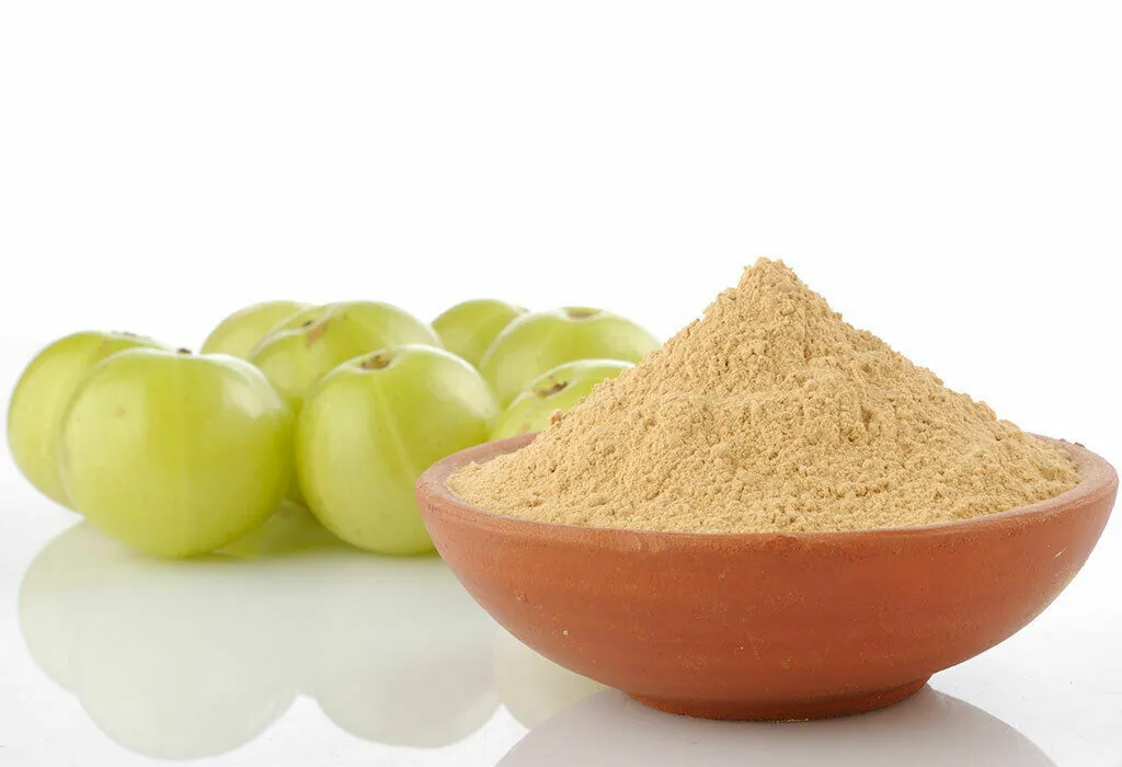 Wholesale Amla Powder Supplier Export Quality Amla Powder
