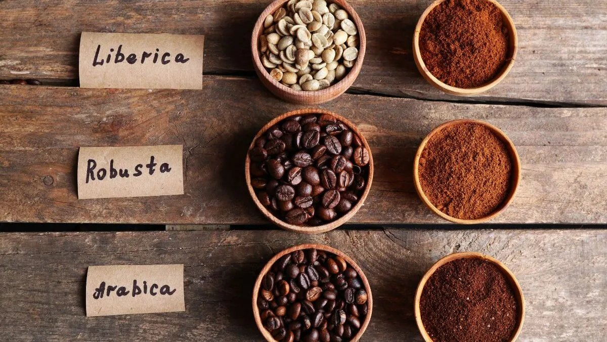 Philippine Robusta Coffee