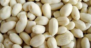 Wholesale Blanched Peanut Supplier Export Quality Blanched Peanut