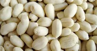 Wholesale Blanched Peanut Supplier Export Quality Blanched Peanut
