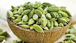 Bulk Cardamom Supply