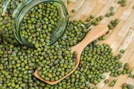 Bulk Moong Bean Supply