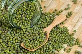 Bulk Moong Bean Supply