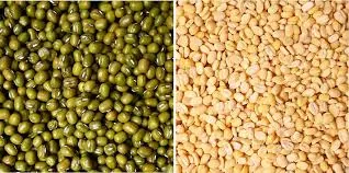 Wholesale Moong Bean Export
