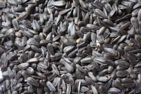 Bulk Sunflower Seeds Supply