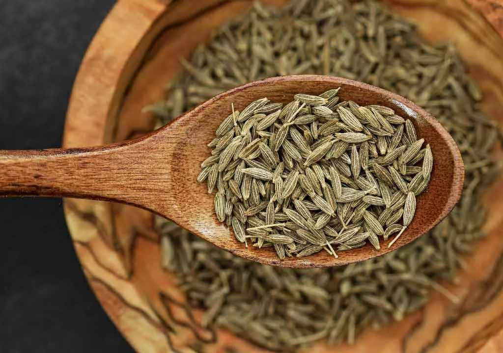 Wholesale Cumin Supplier