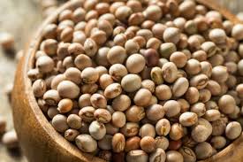 Wholesale Pigeon pea Supplier Export Quality Pigeon pea