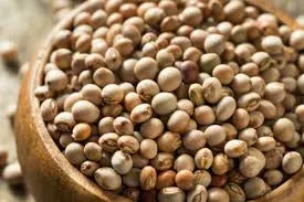 Pigeon Pea - Global Agro Wholesale