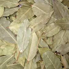 Wholesale Bay Leaf Supplier Export Quality Bay Leaf