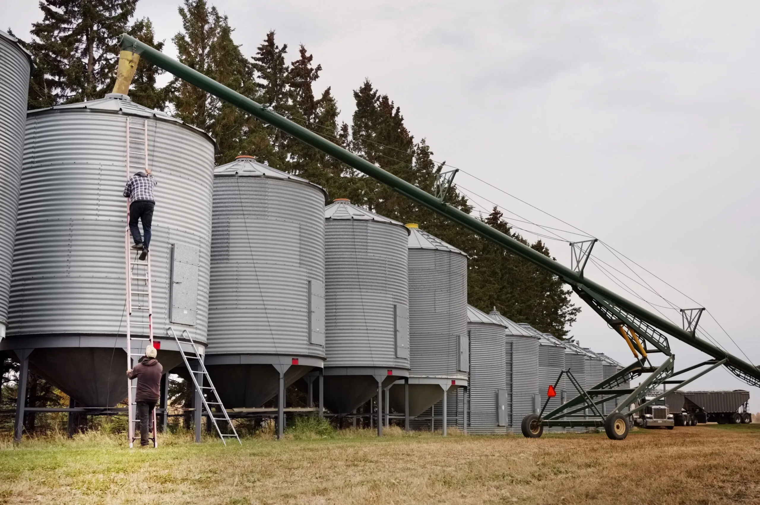 Bulk Agriculture