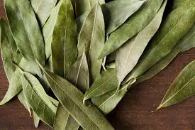 Bulk Bay Leaf Supply