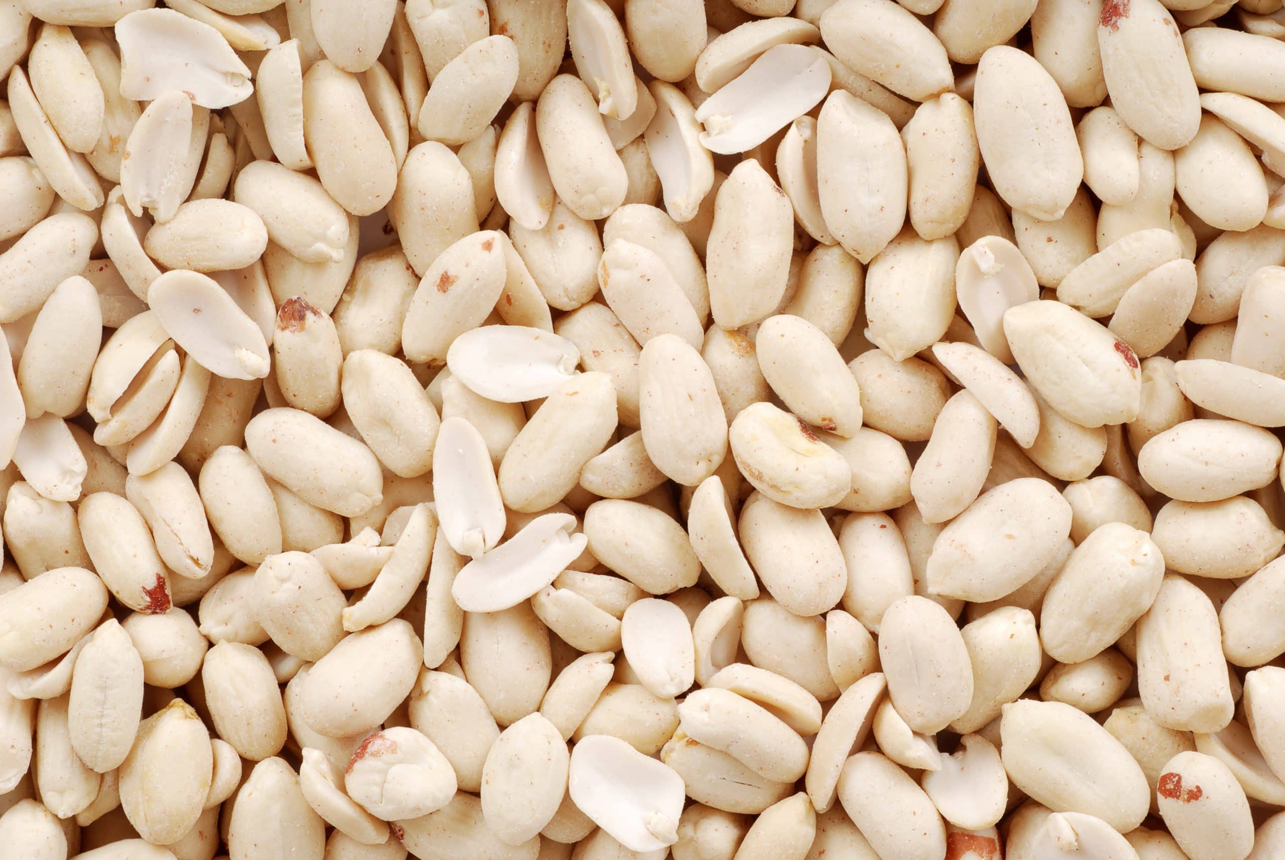 Wholesale Blanched Peanut Export