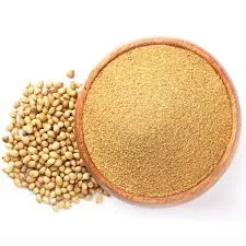 Wholesale Coriander Export