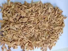Wholesale Dehydrated Garlic Export