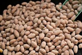 Bulk Peanuts Supply