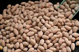 Bulk Peanuts Supply