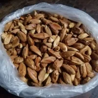 Wholesale Pili Nuts Packaging