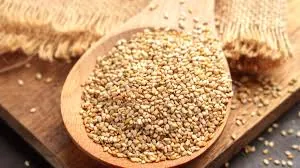 Bulk Sesame Seeds Supply