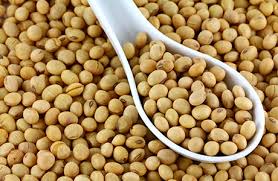 Wholesale Soybean Export