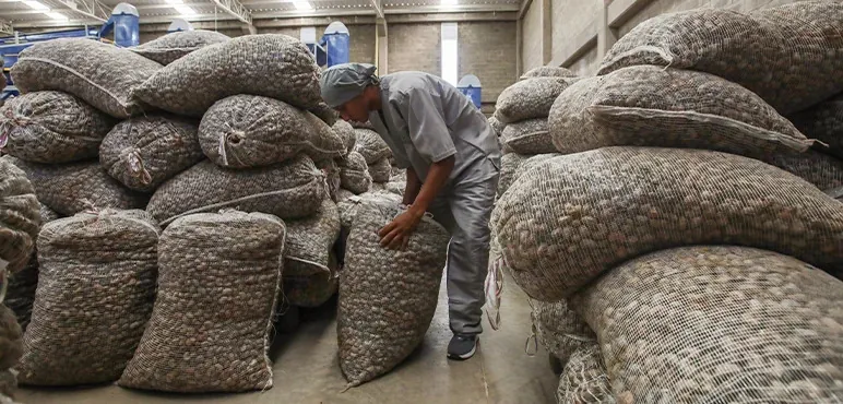 Cashew Warehouse
