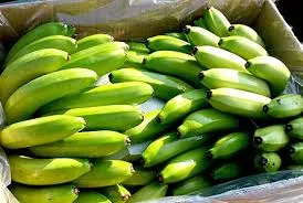 Export Cavendish Banana to China