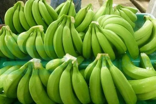Export Cavendish Banana to Japan