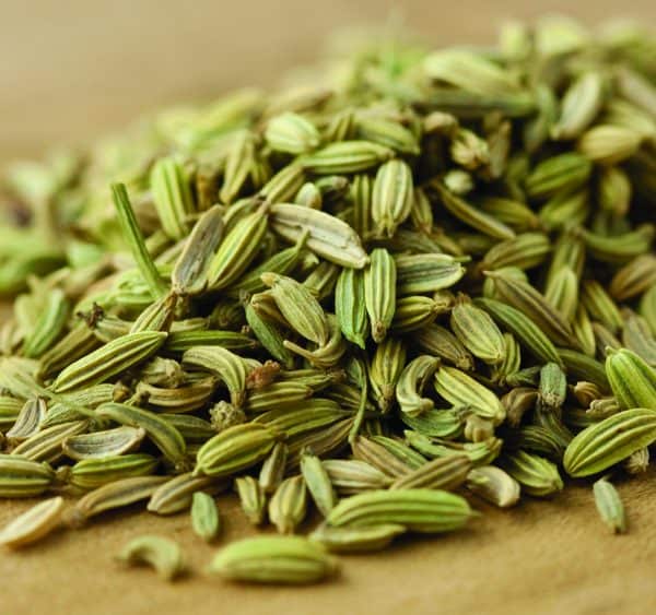 Wholesale Fennel Supplier Export Quality Fennel