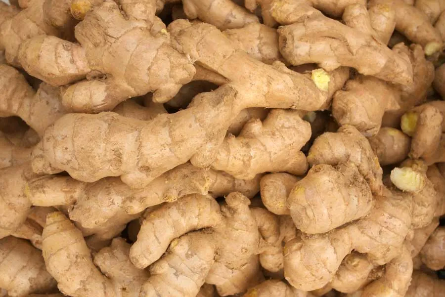 Ginger - Global Agro Wholesale