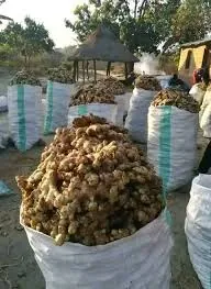 Ginger Export Container