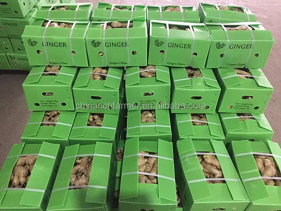 Export Ginger to USA
