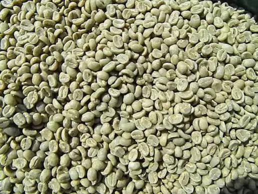 Green Robusta Coffee