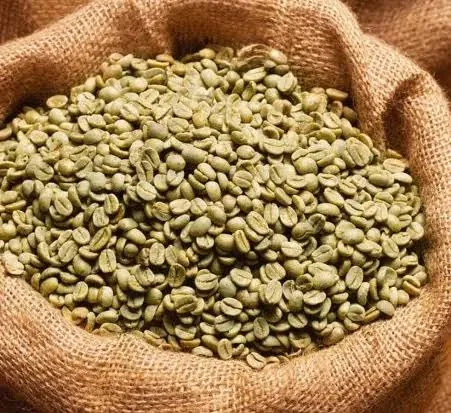 Coffee Export Kenya