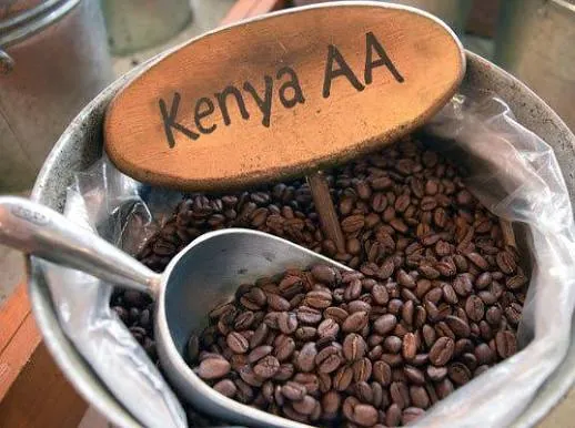 Robusta Coffee Beans Kenya