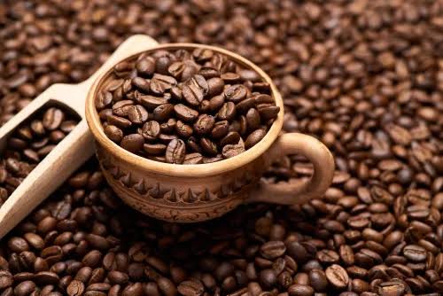 Wholesale Kenya Robusta Coffee Supplier Export Quality Kenya Robusta Coffee