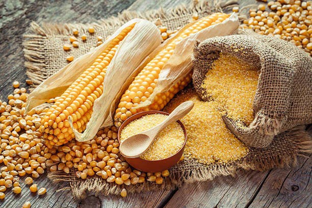 Wholesale Maize Supplier Export Quality Maize