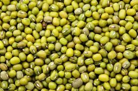Wholesale Moong Beans Supplier Export Quality Moong Beans