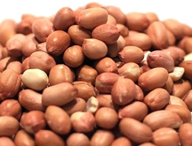 Wholesale Peanuts Supplier Export Quality Peanuts