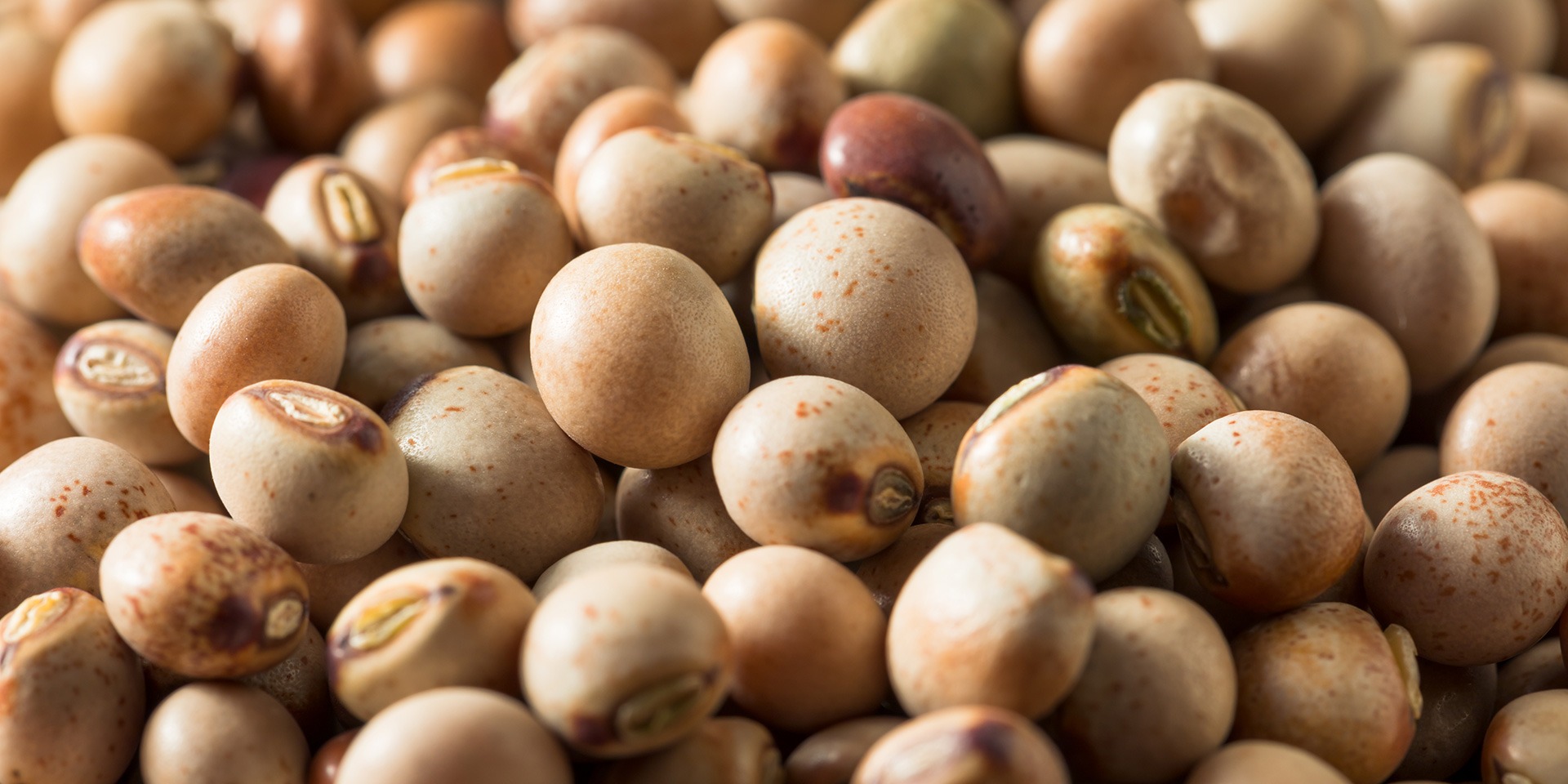 Pulses Market