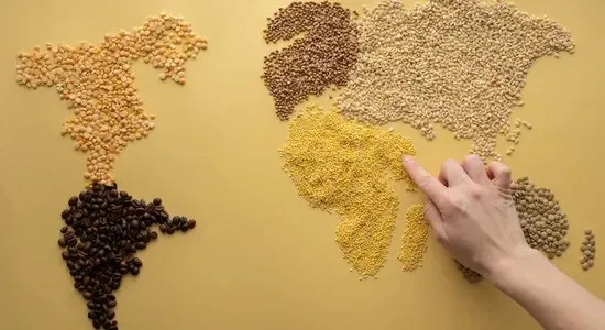 Global Agro Wholesale