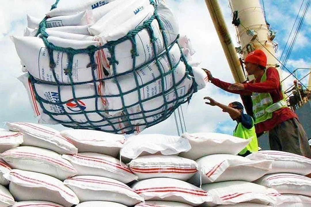 Buy Rice Online Wholesale price