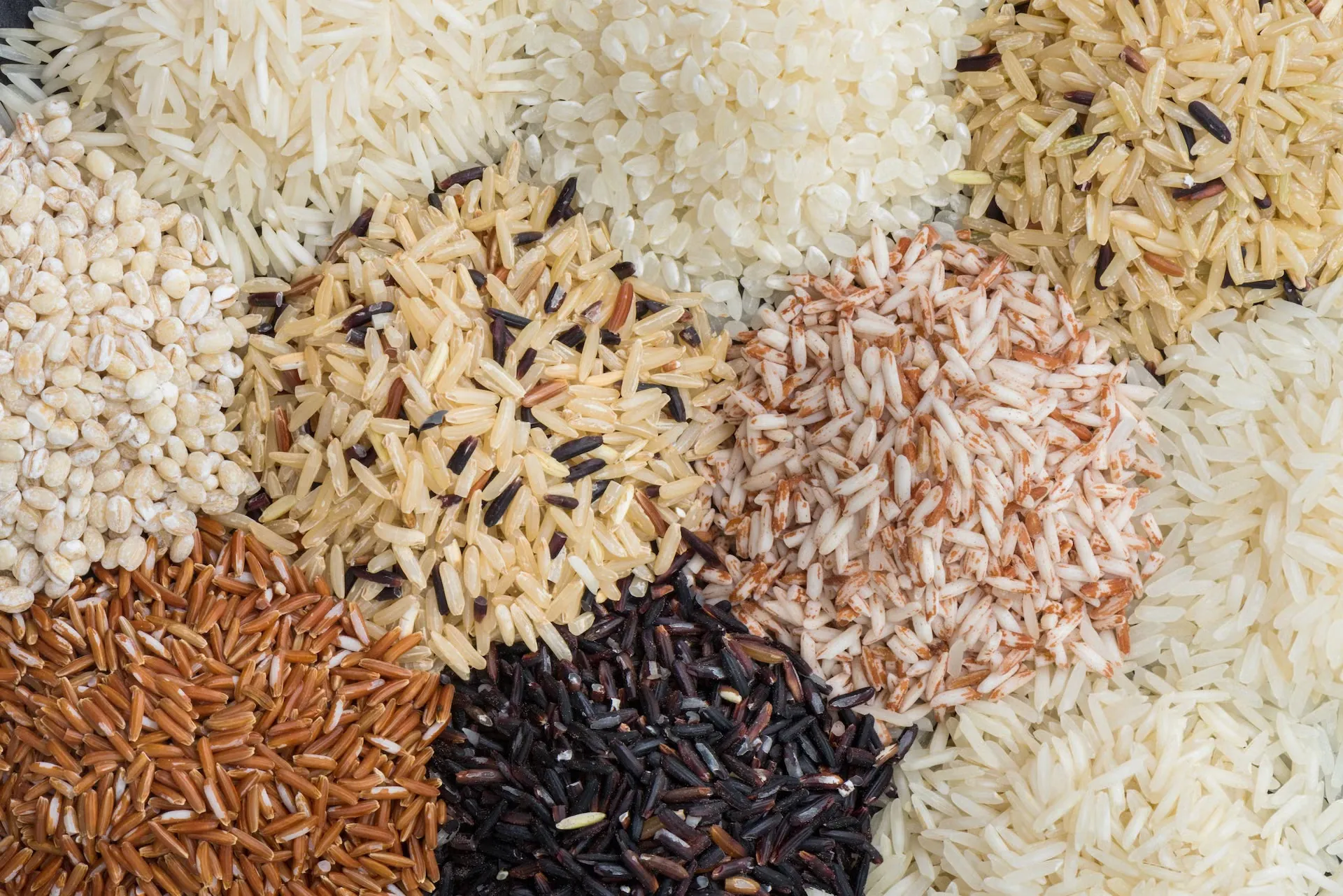 Rice - Global Agro Wholesale