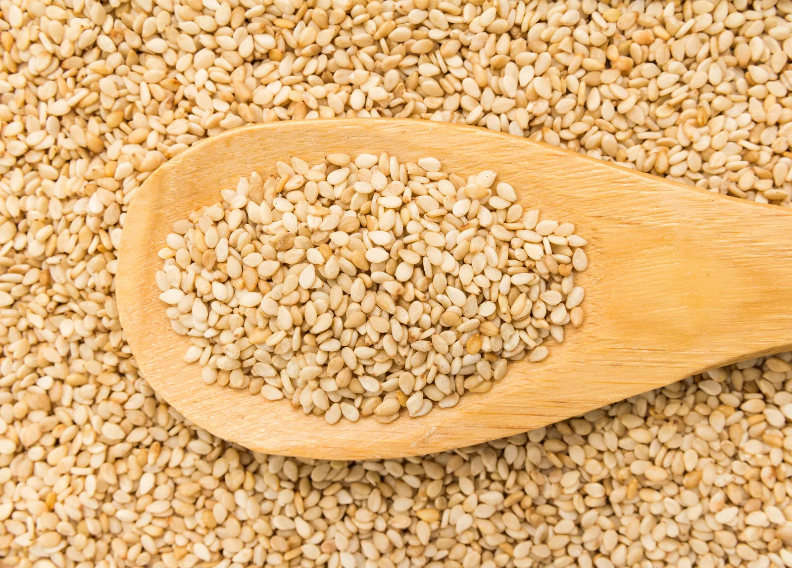 Wholesale Sessame Seed Supplier Export Quality Sessame Seed