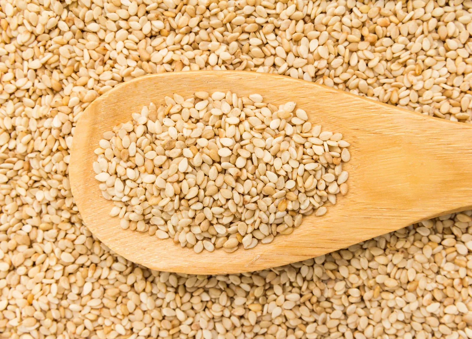 Wholesale Sessame Seed Supplier Export Quality Sessame Seed