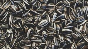 Wholesale Sunflower Seed Supplier Export Quality Sunflower Seed