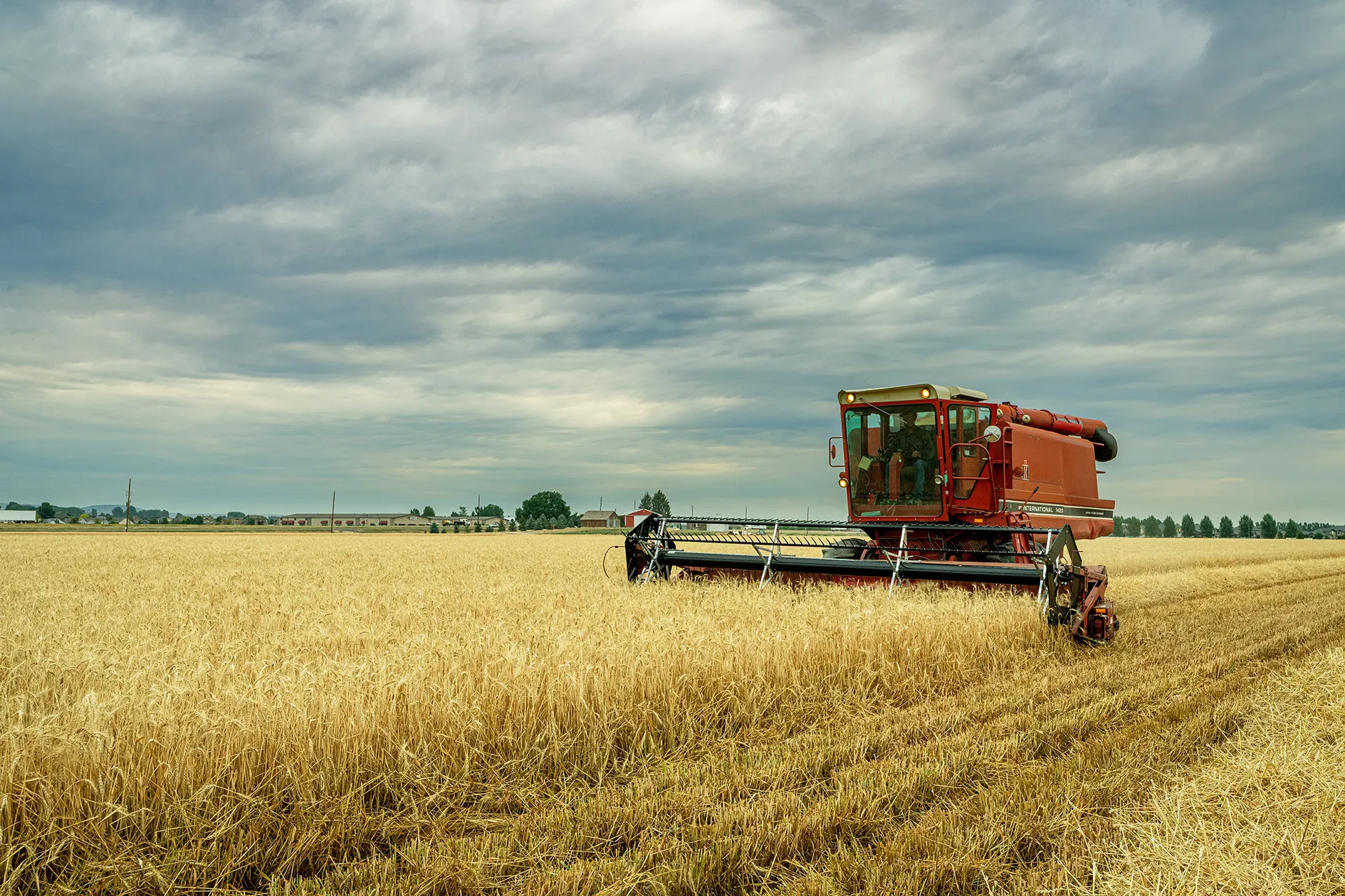 Bulk Wheat Export Packaging