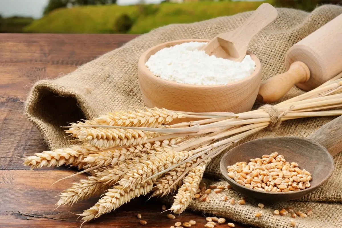 Wheat - Global Agro Wholesale