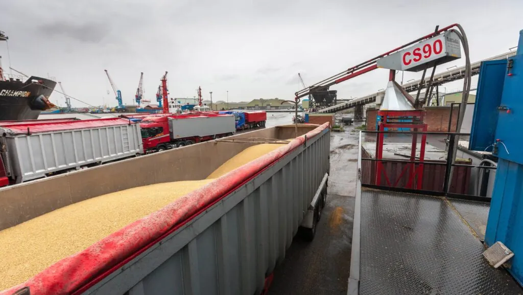 Bulk Wheat Loading