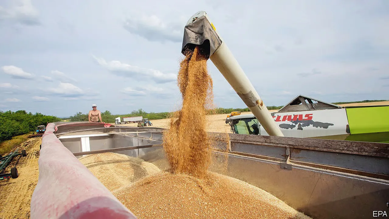 Wheat Export Container