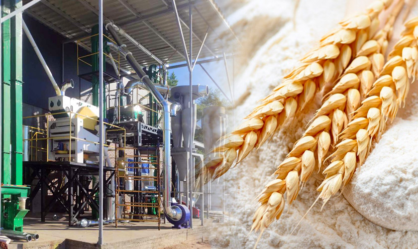 Wheat Processing Plant