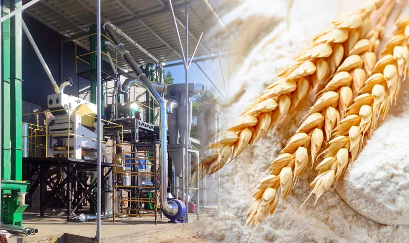 Wheat Processing Plant